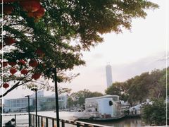 -陈鹏鹏潮汕菜(欢乐海岸 海边景观店)
