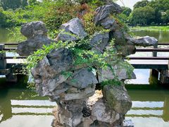 -西湖游船