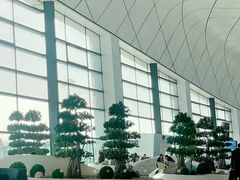 -郑州新郑国际机场