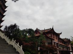 -铁山坪森林公园