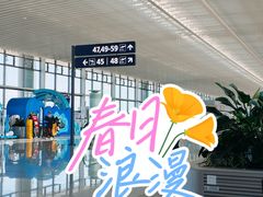 -青岛胶东国际机场