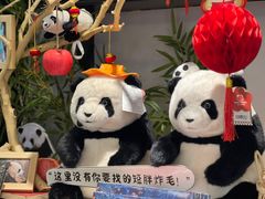 -轩客会(熊猫书店)