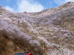 -妙峰山风景名胜区