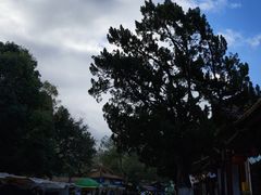 -李氏憨粑粑(文林街店)