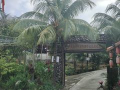 -万兴启丰椰子文化园餐厅