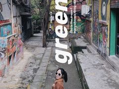 -黄桷坪涂鸦艺术街