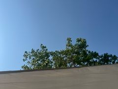 -理想汽车(世纪汇店)