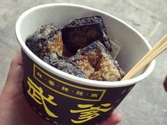 -武爹臭豆腐(坡子街店)