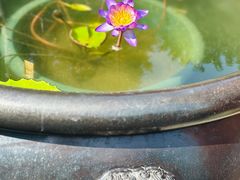 -龙华寺