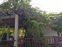 -郑和公园