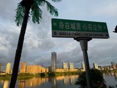 -胡桃里民谣酒馆
