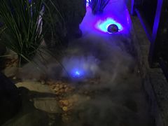 -绿茶餐厅(乐峰广场店)