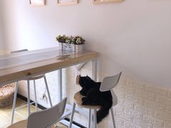 -MOYOYO猫咪咖啡店