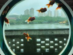 -珠海圆明新园