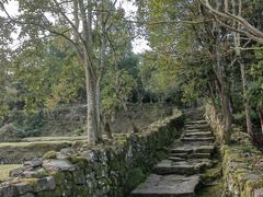 -唐崖土司城遗址