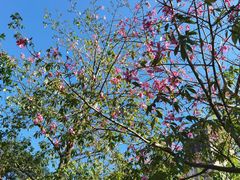 -碧桂园润杨溪谷温泉酒店