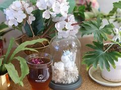 -Beans Solo豆号咖啡(百家湖花园店)