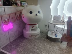 -咪咪专业脱毛连锁机构