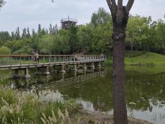 -东郊湿地公园