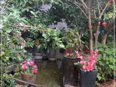 -海韵人家.海景花园经典云南菜(双廊店)