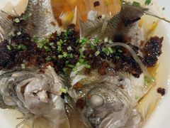 -潮江春(阳光店)