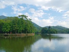 -深圳仙湖植物园