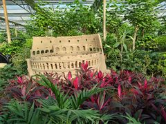 -南宫五洲植物乐园