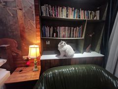 -城墙外BAR