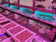 水产区-长平肥姐白粥·海鲜打冷