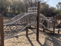 -大兴滨河森林公园