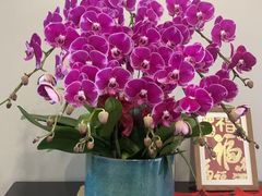 -花里花店(唐镇阳光天地店)