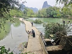 -明仕田园