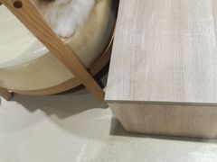 -藏猫猫咖啡主题馆(中央大道店)