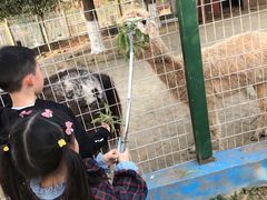 -武汉紫薇都市田园