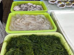 -南沙十九涌渔人码头-南门