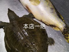 -丹水桥地锅鱼·翘嘴鲌·地方特色全鱼宴(丹江口大坝店)