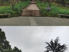 -南山植物园