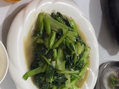 -煲来饱去冷水鱼