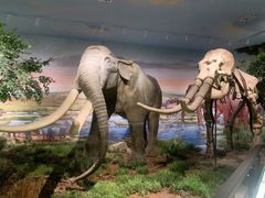 -湖南省地质博物馆