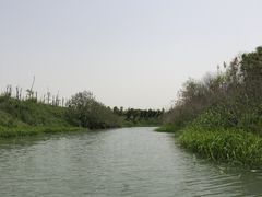 -动邦皮划艇·桨板·独木舟·团建户外运动俱乐部