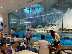 -帝企鹅自助餐厅•儿童岛•真企鹅(长隆企鹅酒店)