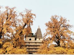 -北京石刻艺术博物馆