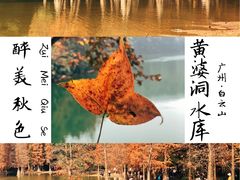 -广州市白云山风景名胜区