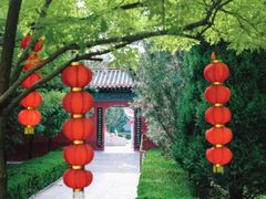 -大槐树寻根祭祖园