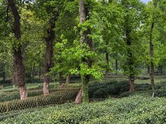 -野蔓果·山野菜(西湖景区·龙井茶田店)