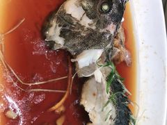 笋壳鱼-顺风海鲜港(金玉兰店)