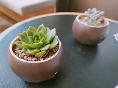 -Peet's Coffee皮爷咖啡(德基店)