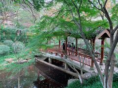 -杭州半山国家森林公园