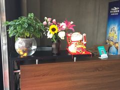 -33韩式自助烧烤(环城南路店)