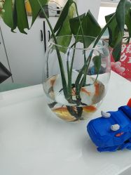 -斐尔国际皮肤管理中心